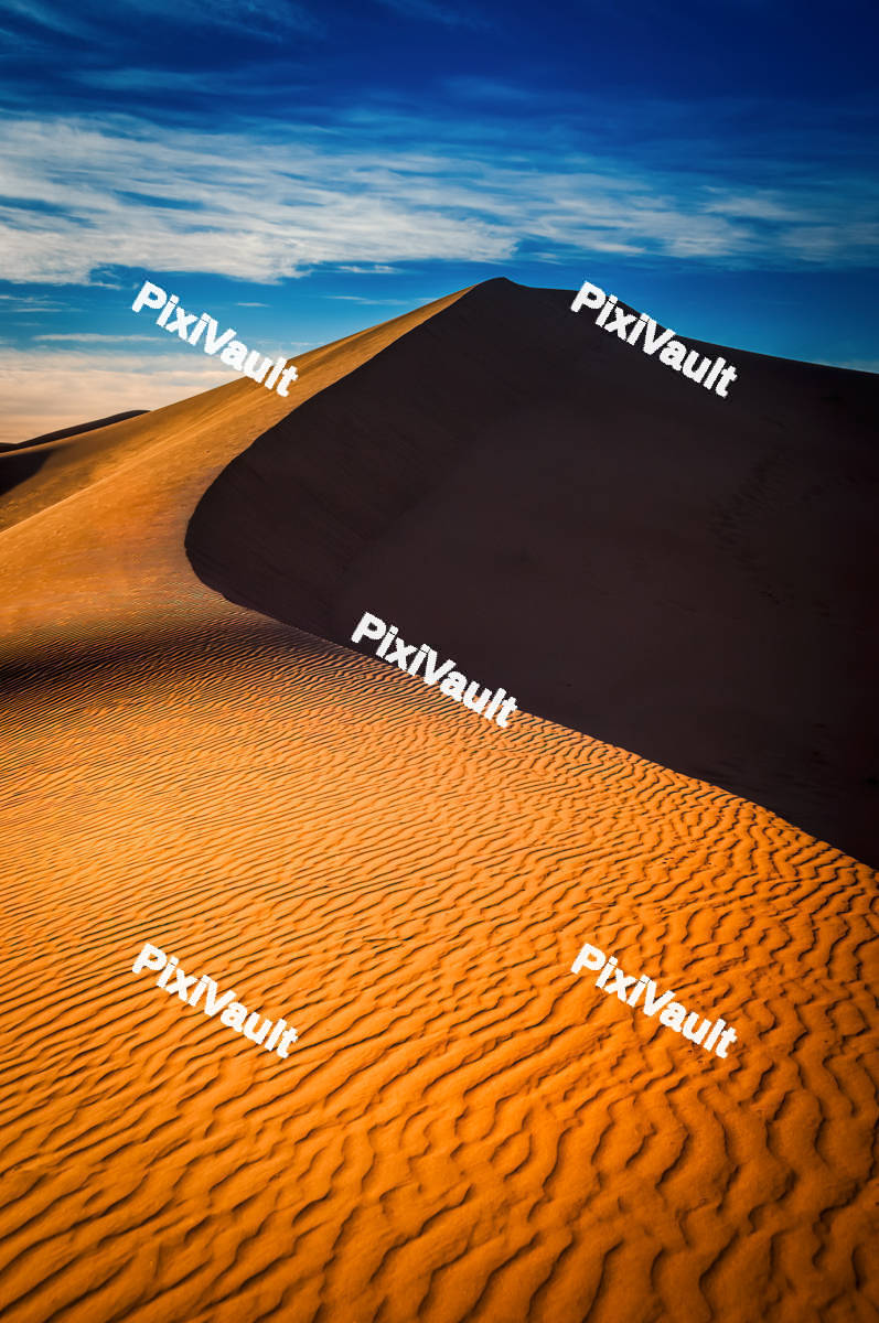 Sahara Desert Dune